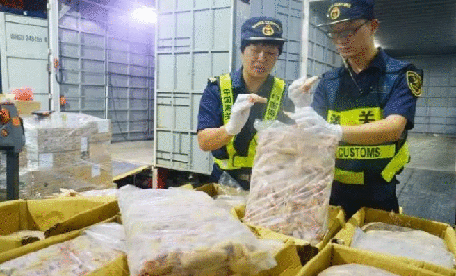 重磅出擊!海關嚴打謊報瞞報!貨物銷毀;重磅罰金、還是不能懸崖勒馬,貨代該如何規避?(圖3)