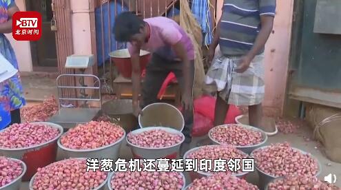 印度“洋蔥危機”加劇!價格上漲100倍 還危及鄰國(圖7)