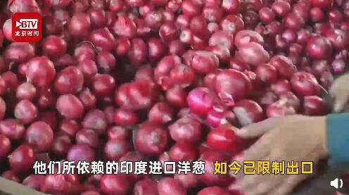 印度“洋蔥危機”加劇!價格上漲100倍 還危及鄰國(圖8)