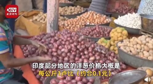 印度“洋蔥危機”加劇!價格上漲100倍 還危及鄰國(圖5)
