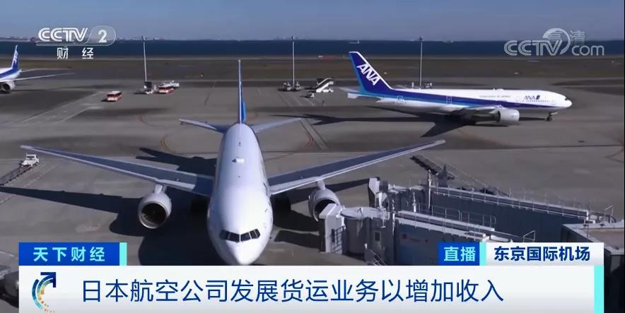 至暗！國內三大航空公司巨虧300多億，日本最大航空公司將無薪放假兩年！